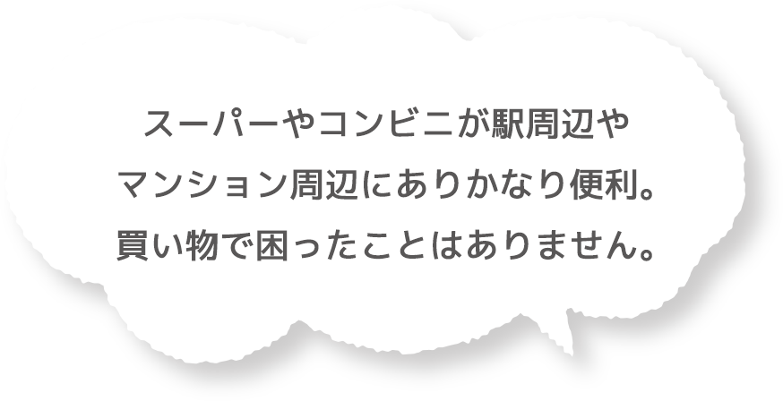 スーパーやコンビニが駅周辺やマンション周辺にありかなり便利。買い物で困ったことはありません。
